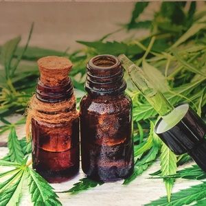 Meet your Posher, Alicia